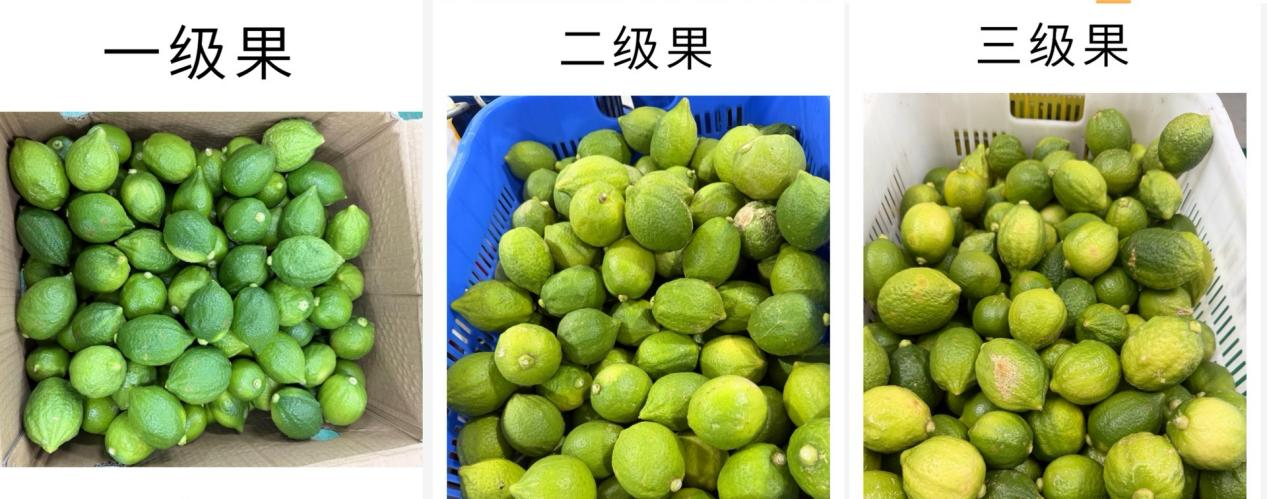 d5eb9922ca6b4cf13d7039b446fa9613.png